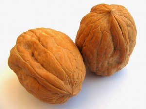 Walnut_shell