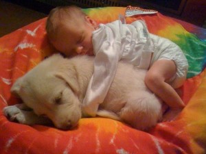 Puppy-and-Baby1