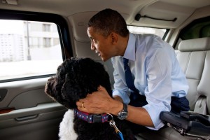 barack-obama-dog