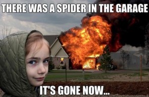 burn-the-house-down-to-kill-the-spider