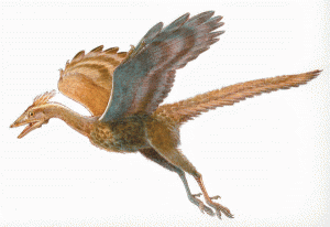 Archaeopteryx