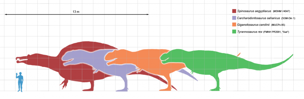 Largesttheropods