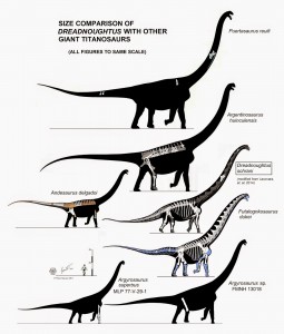 titanosaurs dreadnoughtus