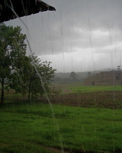 congo rain