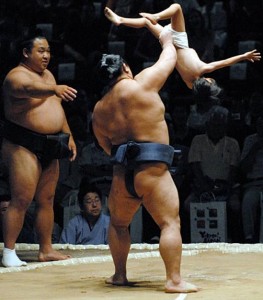 sumo