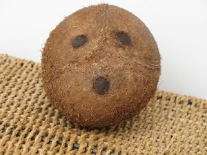 coconut