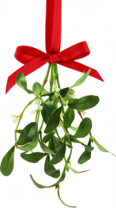 mistletoe