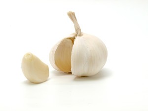 head-of-garlic