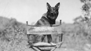 rin-tin-tin_warnerbros