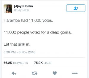 harambe